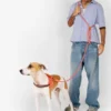 Laisse pour chien réglable et mains libres - Gazelle - Zee.Dog
