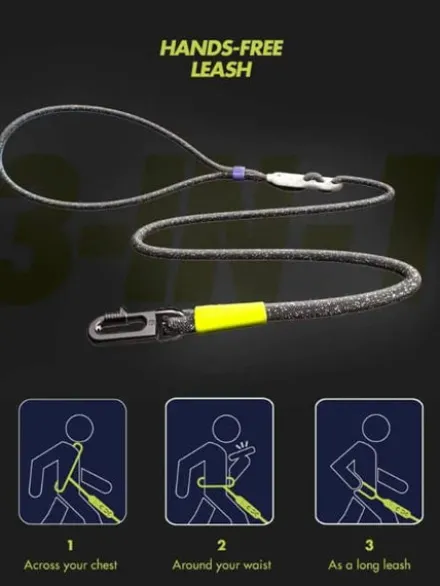 Laisse pour chien réglable et mains libres - Nox - Zee.Dog