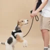 Laisse pour chien Rover leash - Noire - Pups & Bubs