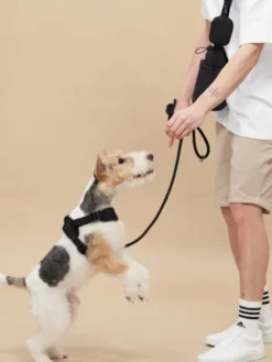 Laisse pour chien Rover leash - Noire - Pups & Bubs