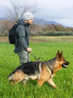 Laisse pour chien - Touring Bungee WD series - Non-Stop Dogwear