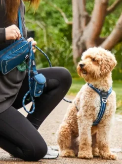 Laisse pour chien - Urban Rope Bleu - Dog Copenhagen