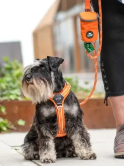 Laisse pour chien - Urban Rope Orange - Dog Copenhagen