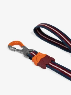 Laisse pour chien - Velvet Vibes Dropout - Zee.Dog