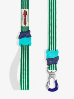 Laisse pour chien - Velvet Vibes Vert - Zee.Dog