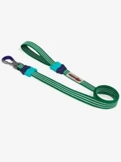 Laisse pour chien - Velvet Vibes Vert - Zee.Dog