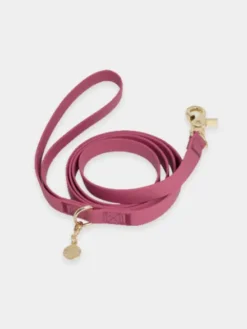 Laisse waterproof Cloud pour chien - Mûre - Shop Sunny Tails