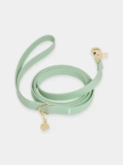 Laisse waterproof Cloud pour chien - Pistache - Shop Sunny Tails
