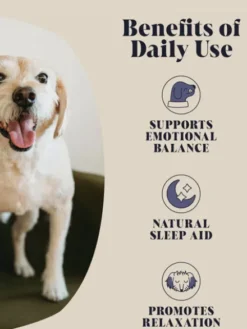 Lait de chèvre apaisant 🐐💤 pour chien - Hackney Dog House