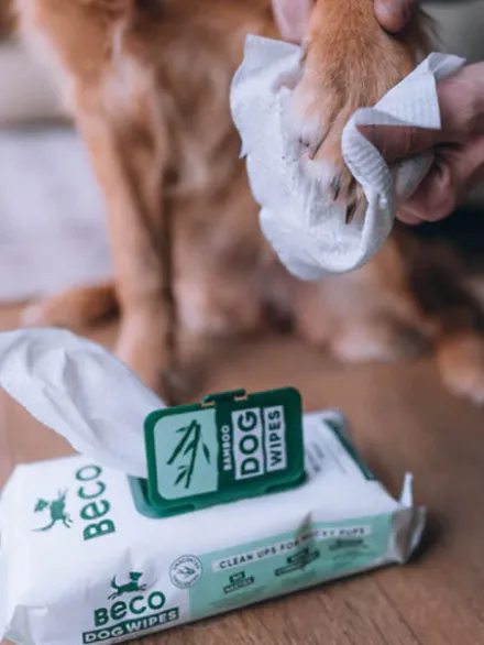 80 Lingettes lavantes pour chien - Compostables - Sans parfum