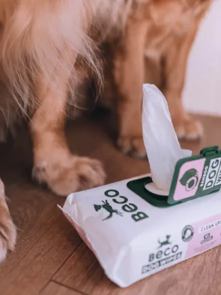 80 Lingettes lavantes pour chien - Compostables - Noix de Coco 🥥