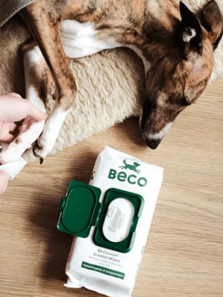 80 Lingettes lavantes pour chien - Compostables - Noix de Coco 🥥