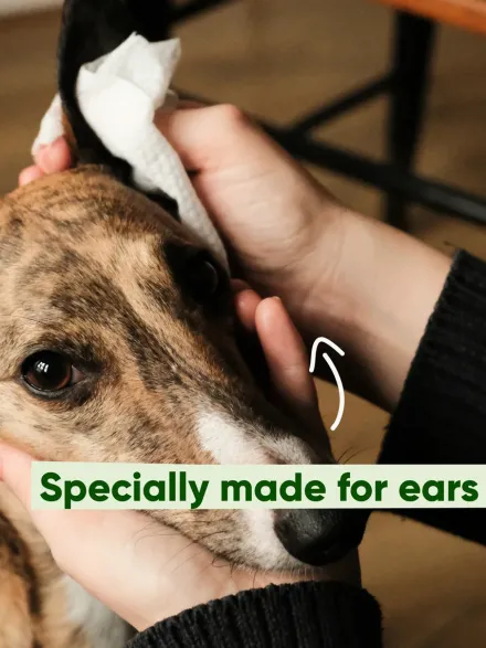 Lingettes nettoyantes oreilles pour chien - Aloe Vera et Camomille