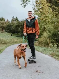 Longe convenience 5m pour chien - Vert Forêt - Hunter
