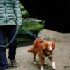 Longe en corde recyclée pour chien - Deep teal - Woolly Wolf