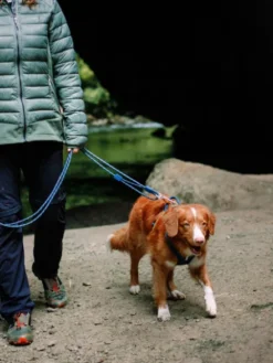 Longe en corde recyclée pour chien - Deep teal - Woolly Wolf