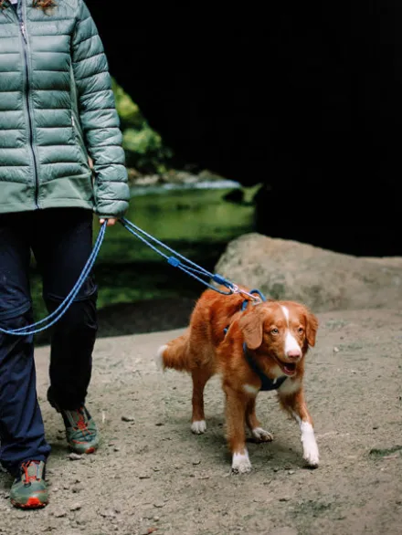 Longe en corde recyclée pour chien - Deep teal - Woolly Wolf