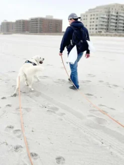Longe waterproof d'éducation pour chien - Bleu nuit - Shop Sunny Tails