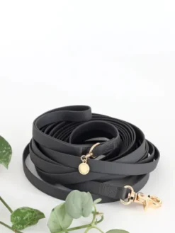 Longe waterproof d'éducation pour chien - Noir - Shop Sunny Tails
