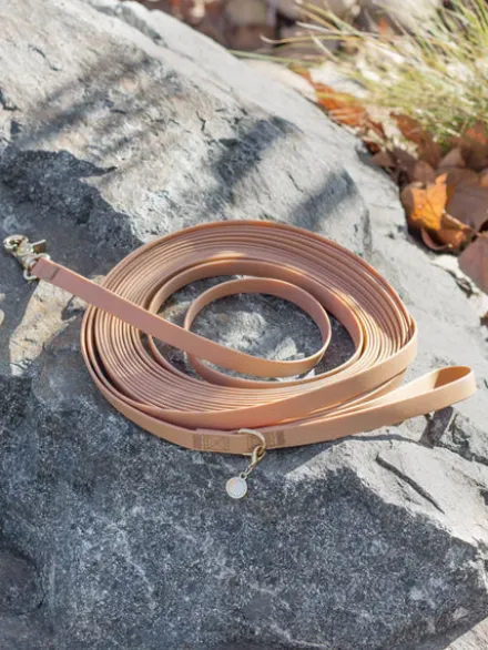 Longe waterproof d'éducation pour chien - Chaï - Shop Sunny Tails