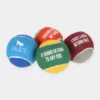 Lot de 4 balles de tennis pour chien - Pet PLAY