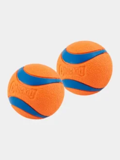 Lot de 2 balles en caoutchouc pour chien - Chuck It! - Taille M