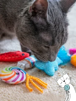 Lot de 6 jouets avec herbe à chat - Kitty Sweet Treats