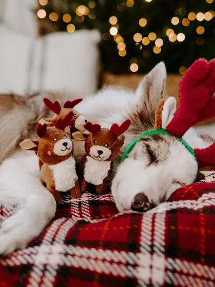Lot de 3 Mini Peluches de Noël pour chien - Rennes - Zippy Paws