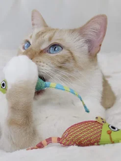 Lot de 2 souris pour chat rembourrées d'herbe à chat