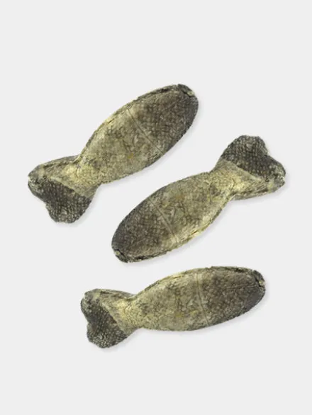 Lot de 3 sticks de Morue en forme de poisson - Icepaw