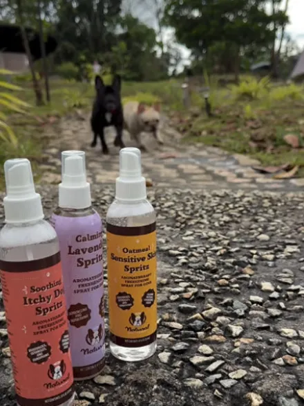 Lotion anti démangeaison pour Chien - Itchy Dog Spritz - Natural Dog Company