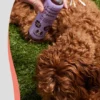 Lotion apaisante pour chien - Calming Lavender Spritz - Natural Dog Company