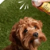 Lotion soin peaux sensibles pour Chien - Sentitive Skin Spritz - Natural Dog Company
