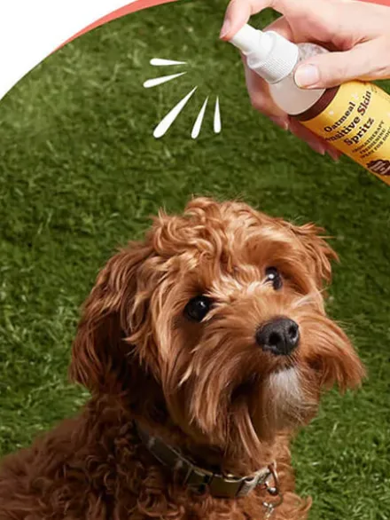Lotion soin peaux sensibles pour Chien - Sentitive Skin Spritz - Natural Dog Company
