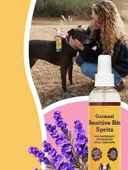 Lotion soin peaux sensibles pour Chien - Sentitive Skin Spritz - Natural Dog Company