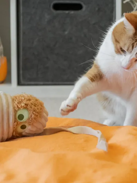 Maxi jouet pour chat - Cat Kicker - Momie