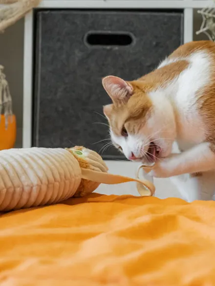 Maxi jouet pour chat - Cat Kicker - Momie