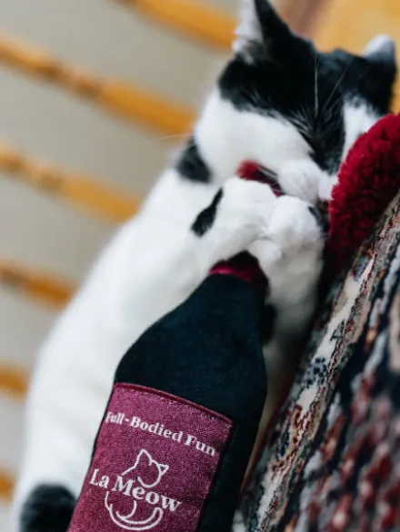 Maxi jouet pour chat - Cat Kicker - Bouteille de vin 🍷 - Pet PLAY