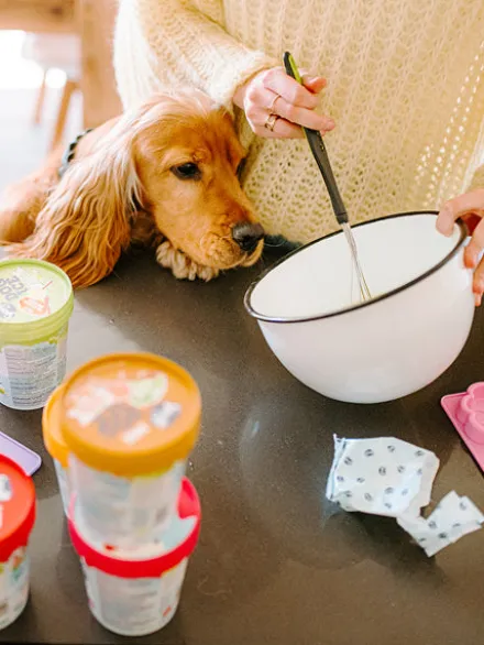 Mélange pour glaces pour chien - Beurre de Cacahuete 🍦🥜 - Smoofl