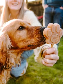 Mélange pour glaces pour chien - Beurre de Cacahuete 🍦🥜 - Smoofl