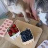 Moule en silicone pour friandises - Hibou et Lune - EmeryPets