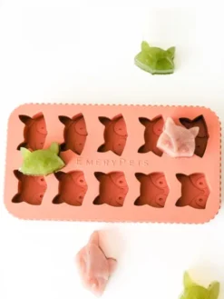 Moule en silicone pour friandises - Renard et Raton laveur - EmeryPets