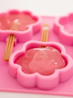 Moule Ă glaces pour chien - Taille M - Smoofl