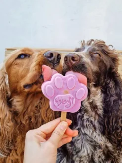 Moule à glaces pour chien - Taille M - Smoofl
