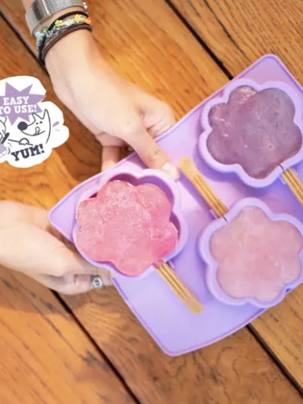 Moule à glaces pour chien - Taille L - Smoofl