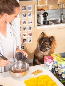 Moule à glaces pour chiot et petit chien - Taille S - Smoofl