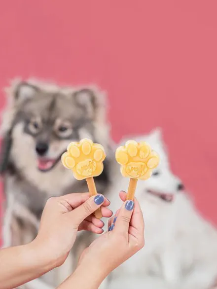 Moule à glaces pour chiot et petit chien - Taille S - Smoofl