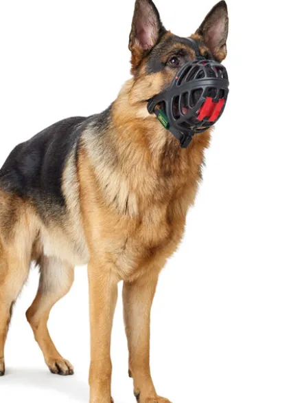 Muselière pour chien - Albury - Hunter