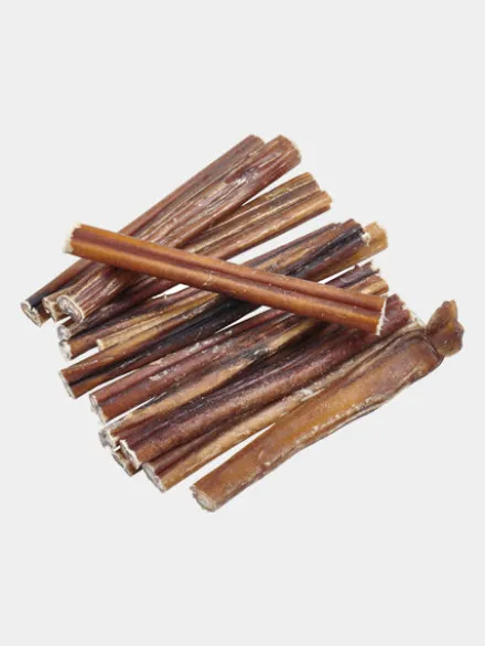 Nerf de boeuf - Bully Stick à mâcher pour chien - 25 cm