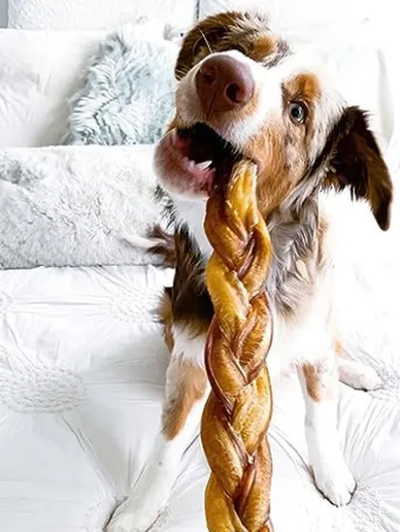 Nerf de boeuf - Bully Stick tressé à mâcher pour chien - 25 cm